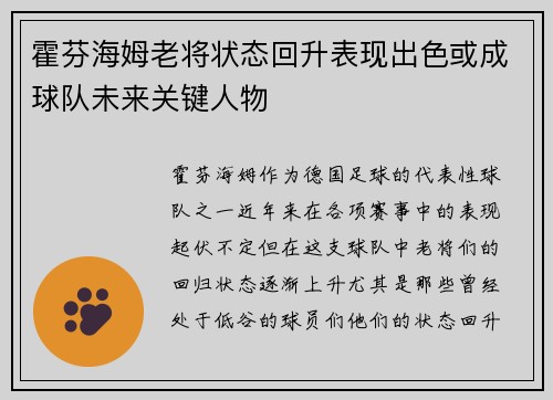 霍芬海姆老将状态回升表现出色或成球队未来关键人物