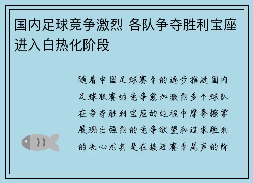 国内足球竞争激烈 各队争夺胜利宝座进入白热化阶段
